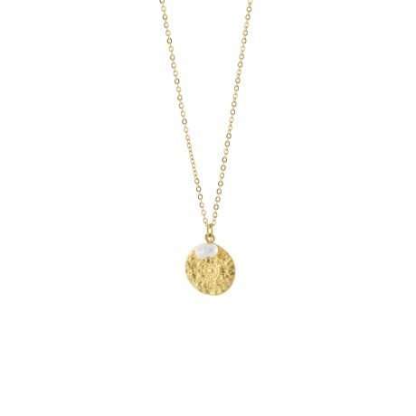 Colier otel inoxidabil placat cu aur de 18K cu banut si perla de cultura Gifting, 01J27-00004, Oxette Romania